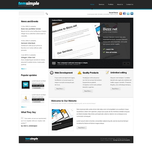Template Image for Temsimple - Website Template