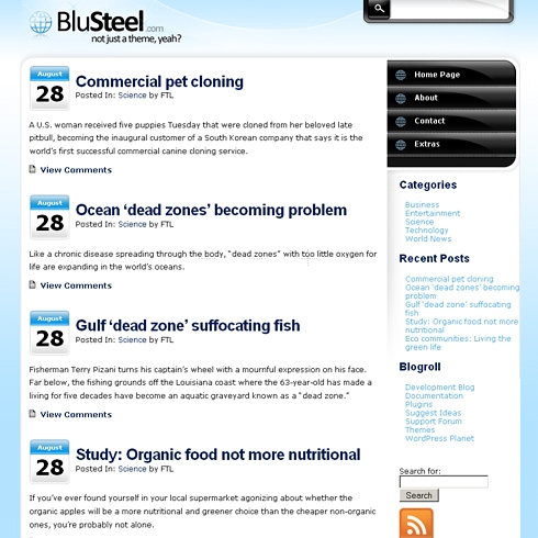 Template Image for Blusteel - WordPress Theme