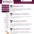 Image for Image for KikiBerry - WordPress Theme